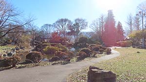 �N���b�N���Ċg��